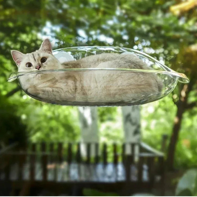 Hamac pour Chat de Fenêtre Transparent à Ventouses, 50 x 30 cm