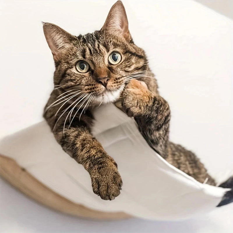 Hamac mural pour chat, griffoir et escalier en bois et sisal à la pièce, vue 2
