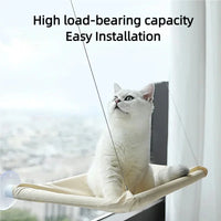 Hamac suspendu de fenêtre pour chat en toile Oxford, fixation à ventouses, 55 x 35 cm, vue 3