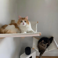 Hamac pour Chat Mural en Bois, Toile Blanche, 53 x 37 cm, vue 3