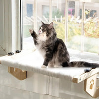 Hamac pour Chat Fenêtre en Bois, Toile Blanche en Coton, Motif Patte