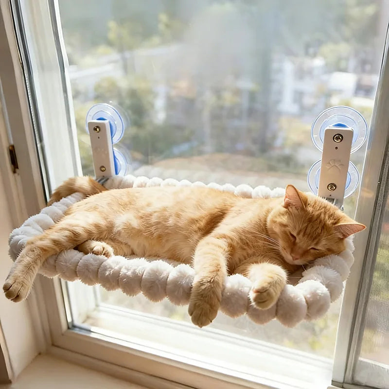 Hamac pour Chat Fenêtre à Ventouses, Peluche Blanche, Ovale ou Carré