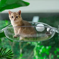 Hamac pour Chat de Fenêtre Transparent à Ventouses, 50 x 30 cm, vue 6