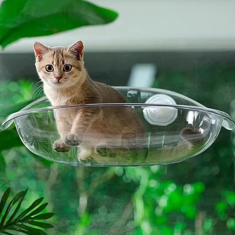 Hamac pour Chat de Fenêtre Transparent à Ventouses, 50 x 30 cm, vue 6