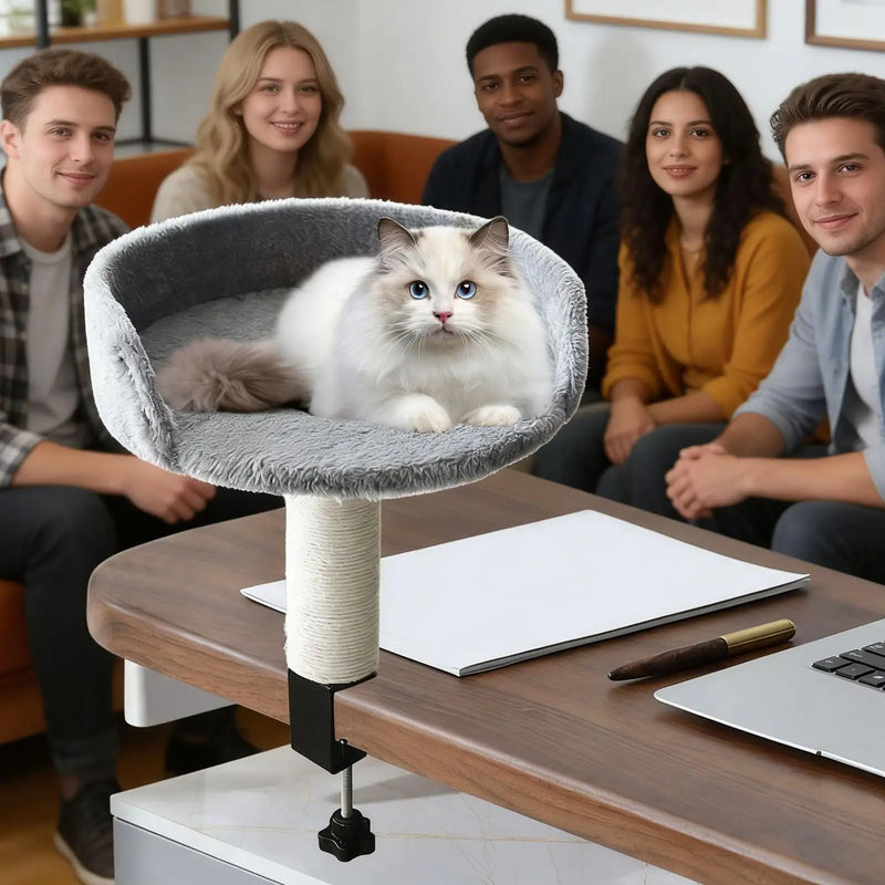 Hamac Chat Bureau à Pince, Panier Rond avec Griffoir en Sisal, Gris, vue 5