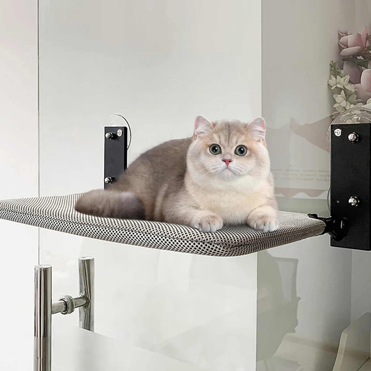 Hamac pour Chat de Fenêtre Pliable à Ventouses, Étagère en Maille Grise, 56,5 x 30 cm