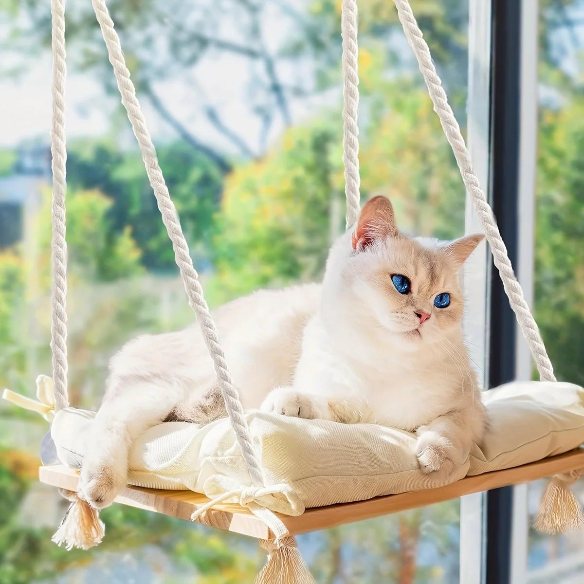 Hamac pour Chat Fenêtre en Bois et Cordes, Coussin Amovible, 45 x 35 cm