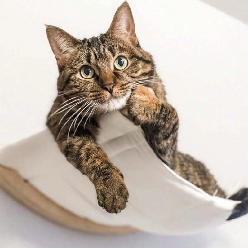 Hamac pour Chat Mural en Bois, Toile Blanche, 53 x 37 cm, vue 4