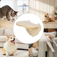 Perchoir de Fenêtre pour Chat en Bois à Ventouses, Étagère Demi-ronde 29,5 x 19 cm, vue 4