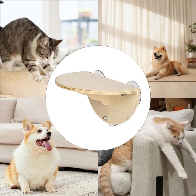 Perchoir de Fenêtre pour Chat en Bois à Ventouses, Étagère Demi-ronde 29,5 x 19 cm, vue 4