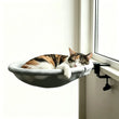Hamac pour Chat Rond à Pince, Bureau, Fenêtre et Balcon, Gris ou Rose